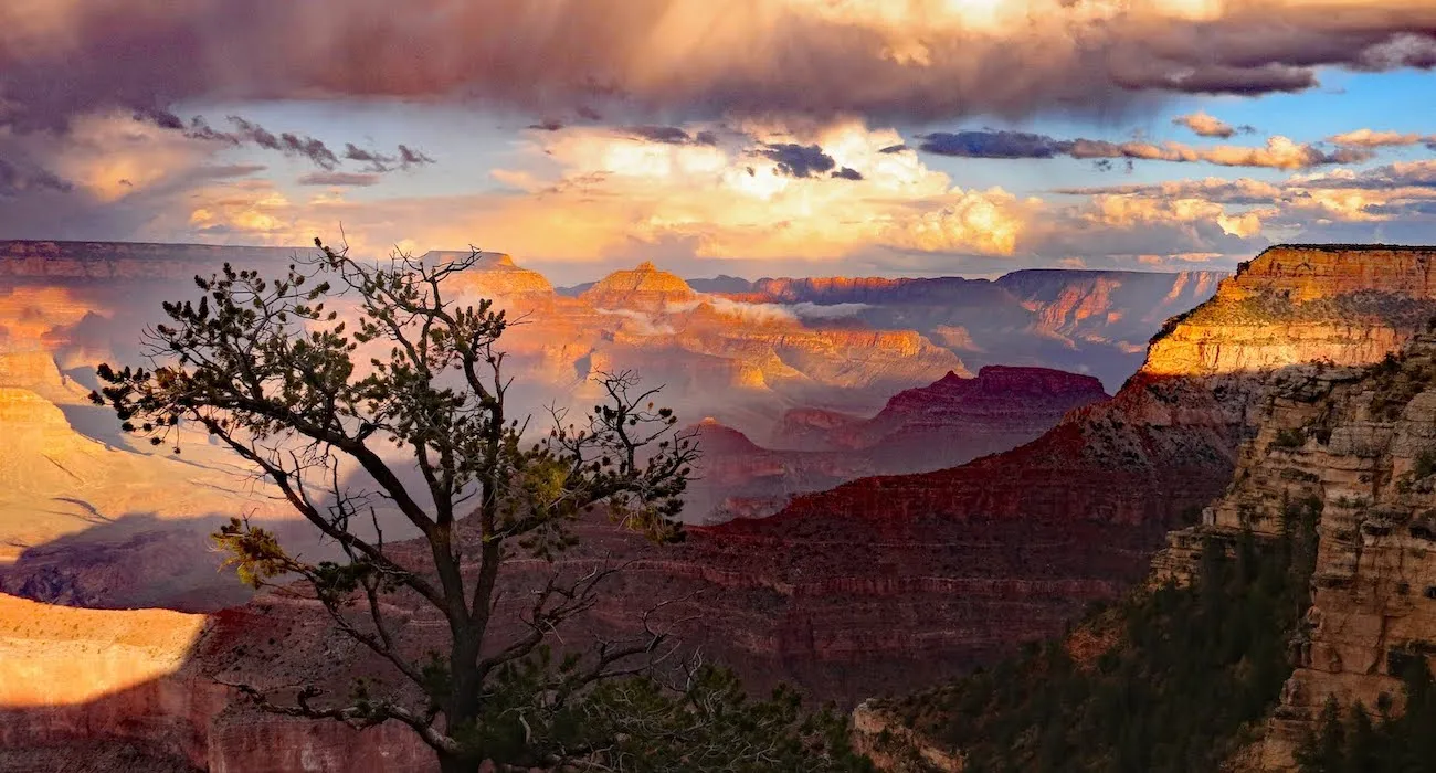 Arizona Bed and Breakfast For Sale