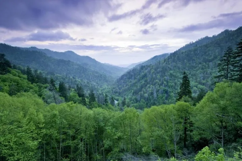 north carolina bed and breakfast for sale
